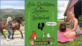 Exploring Nuances & connecting dots; #2 - Eva Bertilsson & Angelica Hesselius [Episode 181]