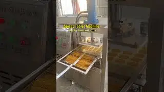 Spices Tablets Machine | Flavoring Powder Pressing Machine