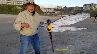 Who says you can't FLY a KITE during the winter? #kite #winter #dad #flyhigh #memories #foryou ❤🙏🏽