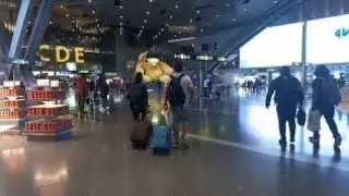 Arriving - Hamad International Airport, Doha, Qatar