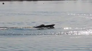 HDV.. Travis testing Swoop/ Central Marine 60