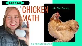(1 Chicken = _____ )  Can you find my mistake?