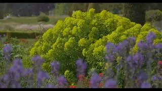 Virtual Tour - The Italian Gardens at Trentham Gardens