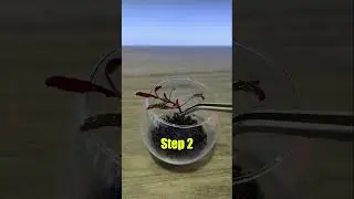 World&rsquo;s Smallest Fish Tank..