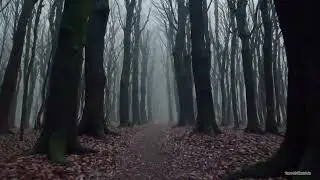 You Took My Sunshine - Piano Instrumental Sleep / Relax / Sad / Hope