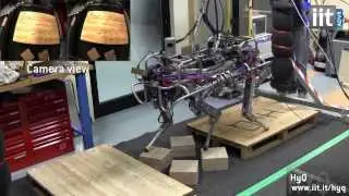 Probably The Most Versatile Quadruped Robot: HyQ