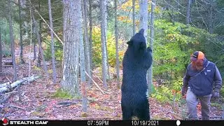 Quest for 200 Tip of the Week #14- Bear Awareness