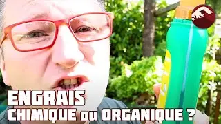 Quel engrais choisir pour un bonsa&iuml; ? Guide complet pour d&eacute;butants 🌱 NEJIKAN BONSAI 🌱