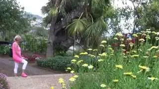 Madeira: Insel des ewigen Frühlings