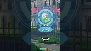 I Just Found a RARE SHINY POKEMON in Legends Z-A!
