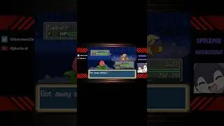 SHINY TIMBURR!