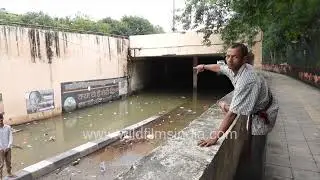 Yamuna River flooding Delhi | Expansive floodplains and waterlogged areas