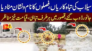 Severe Flood Hits Kasur | Livestock Lost | Crops Damaged | Widespread Destruction | SAMAA TV