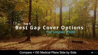 Best Gap Cover Options For Under R300