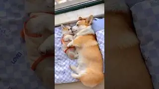 The safest place in the world is inside mum&rsquo;s hug 🥰
