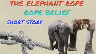 English story || the elephant rope belief #english_world_for_ stories
