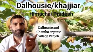 Organic Village in Near Dalhousie | Manoj Kumar Tour Operator & Guide in Dalhousie North India