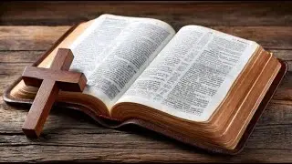 Why should I trust the Bible?