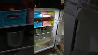 Mini Vlog 21 # Double door Fridge # Fridge Organization Ideas