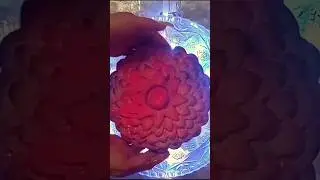Most Beautiful Color Changing Flower Reform Ever,Pink on the Outside But What Color on the Inside??