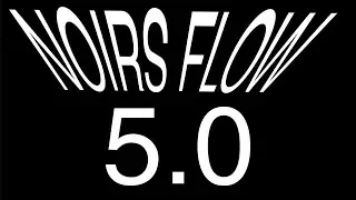 NOIR DNB- NOIRS FLOW 5.0