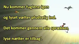 Lyse nætter - karaoke