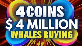 What Have Crypto Whales Been Buying in the last 48 hours?