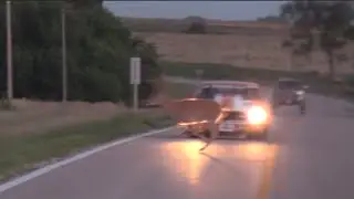 CLOSE CALL! Doug Cline 69 Camaro Nearly HITS DEER!