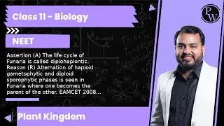 Assertion (A) The life cycle of Funaria is called diplohaplontic. Reason (R) Alternation of haplo...