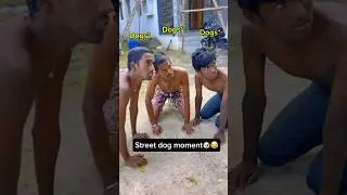 Z+ security 🤣❤️ #shorts #dog #funnyvideo #viralshorts #trend