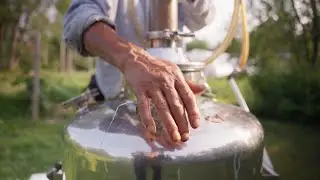 Distillation de plantes médicinales - Herboristerie la Fée des Bois