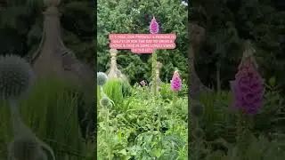 Why you should visit Ashton Court in Bristol