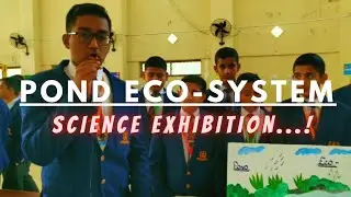 Pond Eco-System Model | science exhibition -2023|Unique Chemistry Working Model
