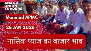 Nashik APMC Onion Today Rate | Red Onion Wholesale Price | Live Market 28 January 2026