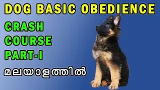 DOG BASIC OBEDIENCE COURSE PART 1 - CRASH COURSE - DOG TRAINING IN MALAYALAM : നായ പരിശീലനം