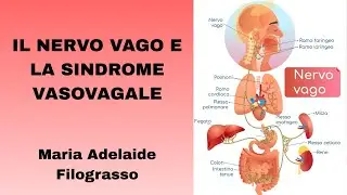 IL NERVO VAGO E LA SINDROME VASOVAGALE