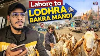 Goat Buying Journey for Bakra Eid | Lahore to Chichawatni 89/L12 & Lodhran Bakra Mandi 