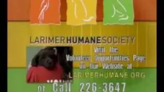 Larimer Humane Society Volunteer Spot