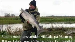 Laksepremiere 16/04-2017. S&oslash;nderjysk Sportsfiskerforening.