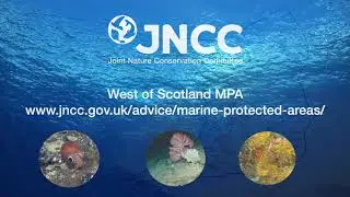 West of Scotland Marine Protected Area