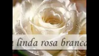 Banda Calypso Rosa Branca (Letra)