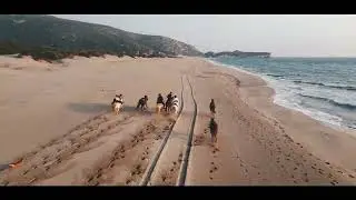 Can the dog catch-up the horses?