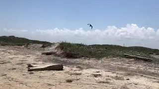 Boca Chica Beach, TX: Where The Rio Grande Meets the Gulf of Mexico.  SpaceX SN15 Cameo