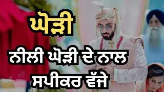 ਨੀਲੀ ਘੋੜੀ ਦੇ ਨਾਲ ਸਪੀਕਰ ਵੱਜੇ #ghoria #gidhasteps #sithniyan #ghoriya #lokgeet #mundedeviahdegeet