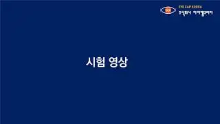 UL-94 V Test 영상