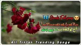 Sadi Yari Dian Misalaan  New 2024 song🦋❤️