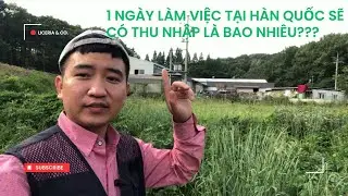 Hàn Quốc đi làm ngày chủ nhật sẽ nhận được bao nhiêu tiền lương???