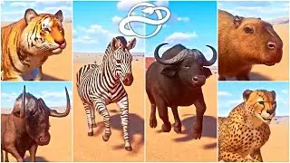 Bengal Tiger, Capybara, Zebra, Cheetah, Bear, Gazelle and More Animals Racing in Australian Desert🦓🦌