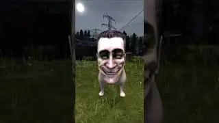 Bow Wow Dog 14