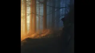 Misty Forest Dusk: Calming Piano & Rain Sounds